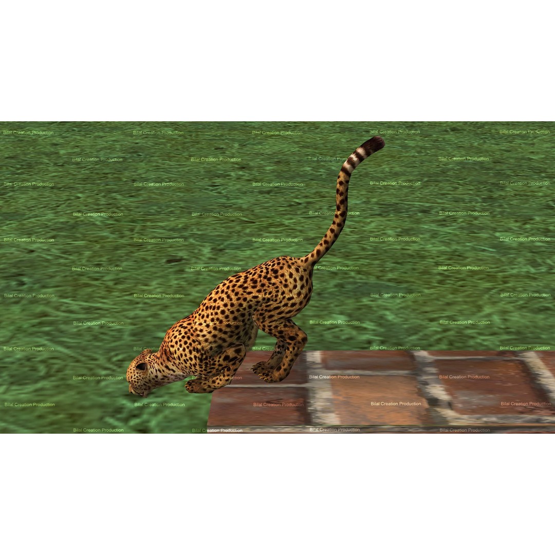 Cheetah 3D Model – Low Poly Rigged Animated Character, FBX - View 11