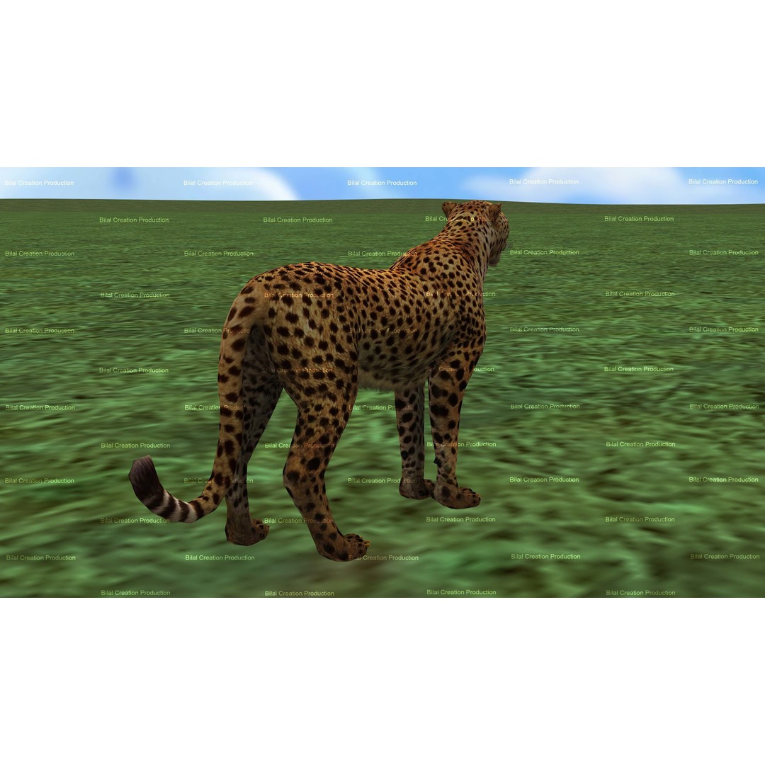 Cheetah 3D Model – Low Poly Rigged Animated Character, FBX - View 16