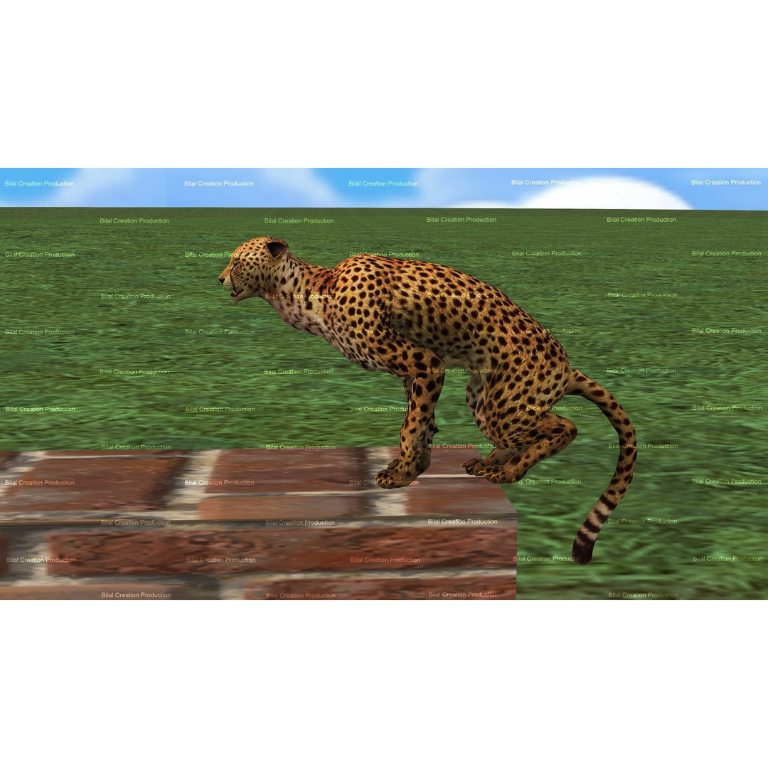 Cheetah 3D Model – Low Poly Rigged Animated Character, FBX - View 17