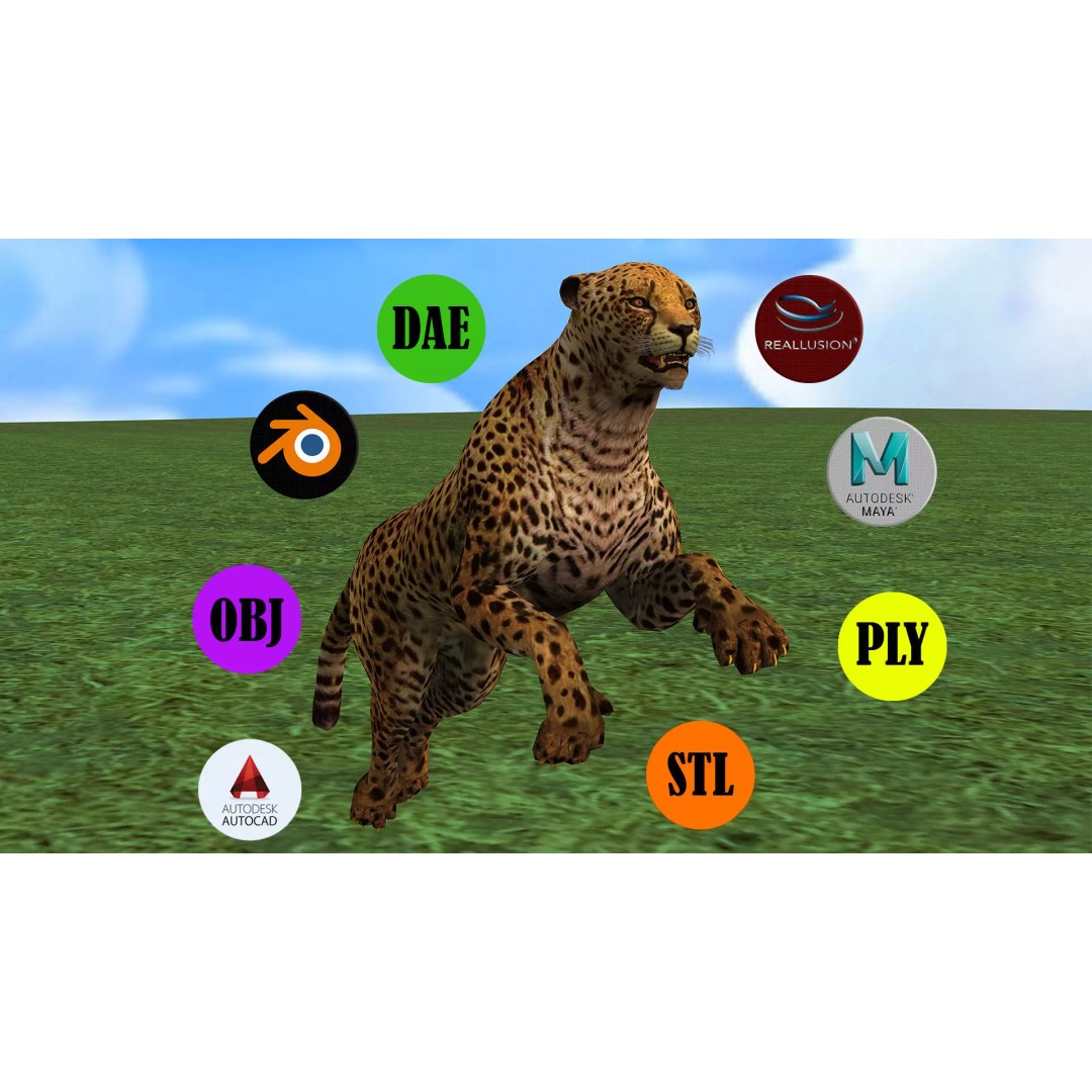 Cheetah 3D Model – Low Poly Rigged Animated Character, FBX - View 2
