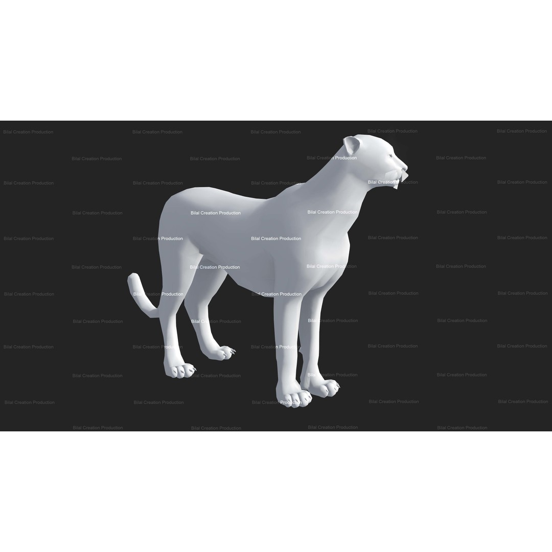 Cheetah 3D Model – Low Poly Rigged Animated Character, FBX - View 20