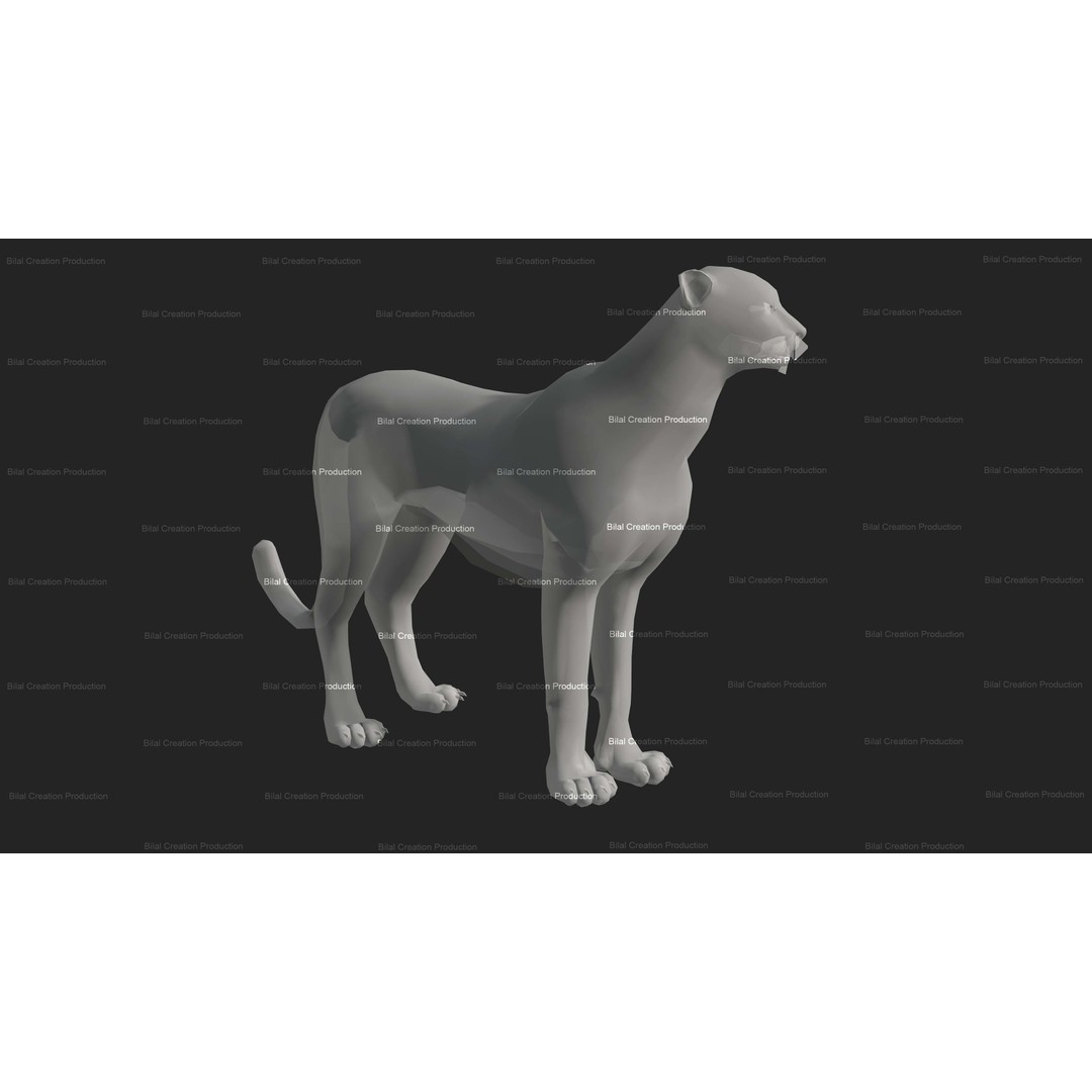 Cheetah 3D Model – Low Poly Rigged Animated Character, FBX - View 21