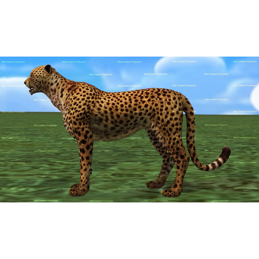 Cheetah 3D Model – Low Poly Rigged Animated Character, FBX - View 4