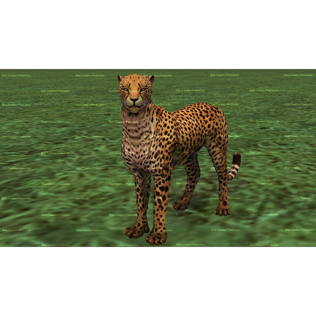 Cheetah 3D Model – Low Poly Rigged Animated Character, FBX - View 5