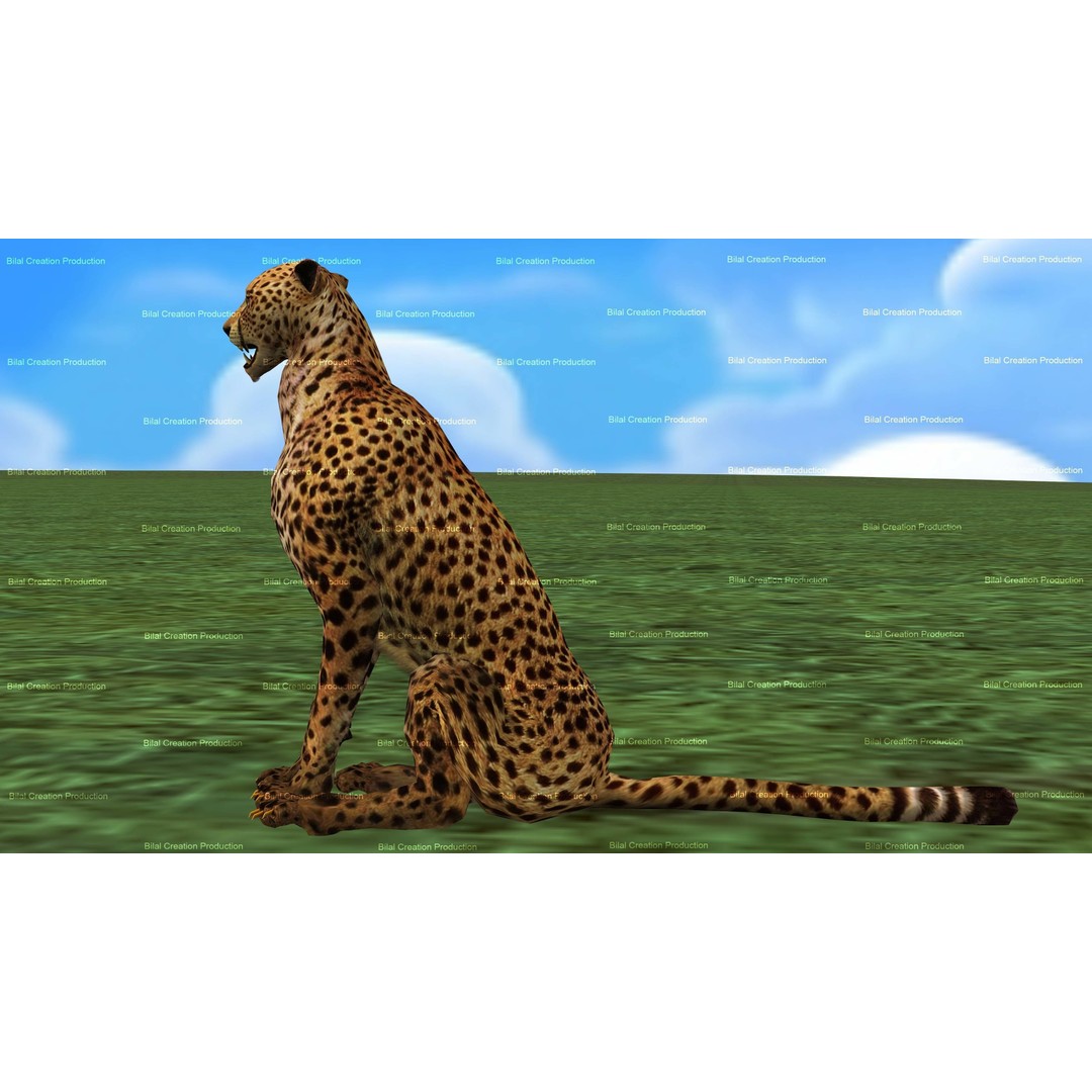 Cheetah 3D Model – Low Poly Rigged Animated Character, FBX - View 7