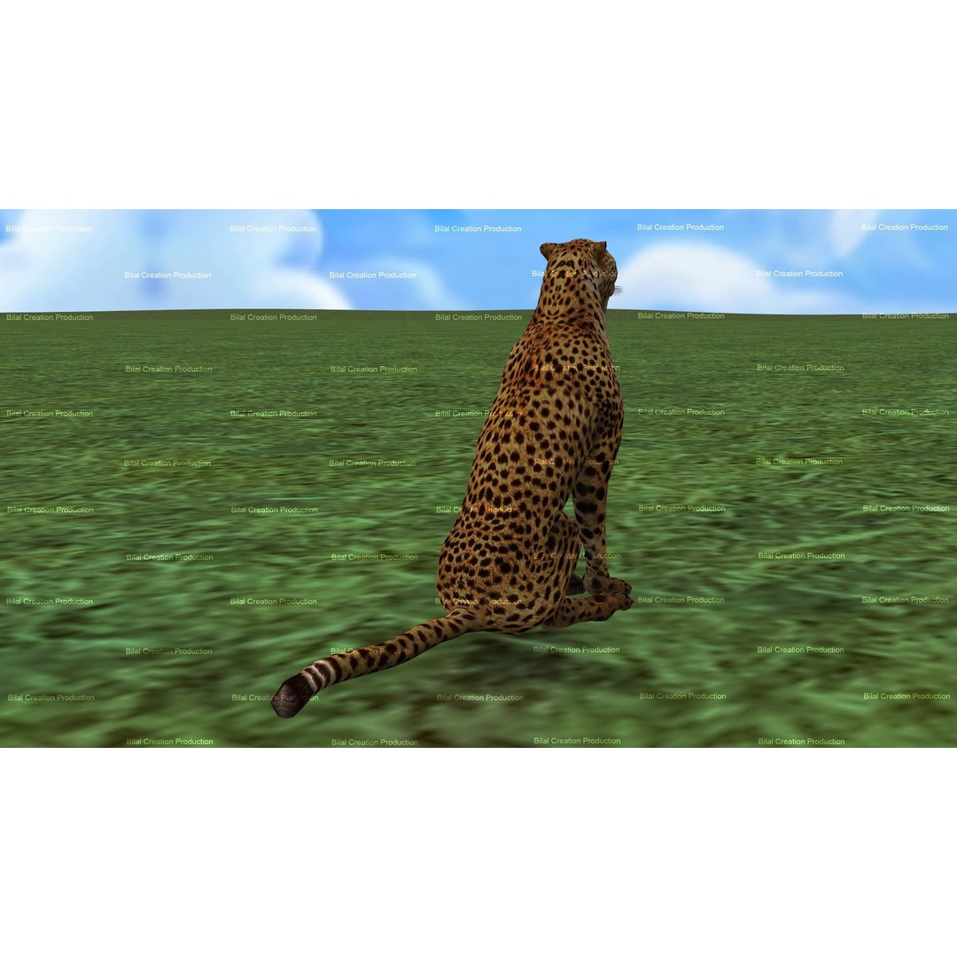Cheetah 3D Model – Low Poly Rigged Animated Character, FBX - View 8