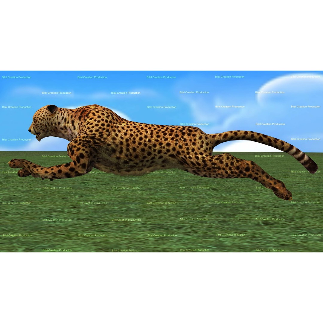 Cheetah 3D Model – Low Poly Rigged Animated Character, FBX - View 9