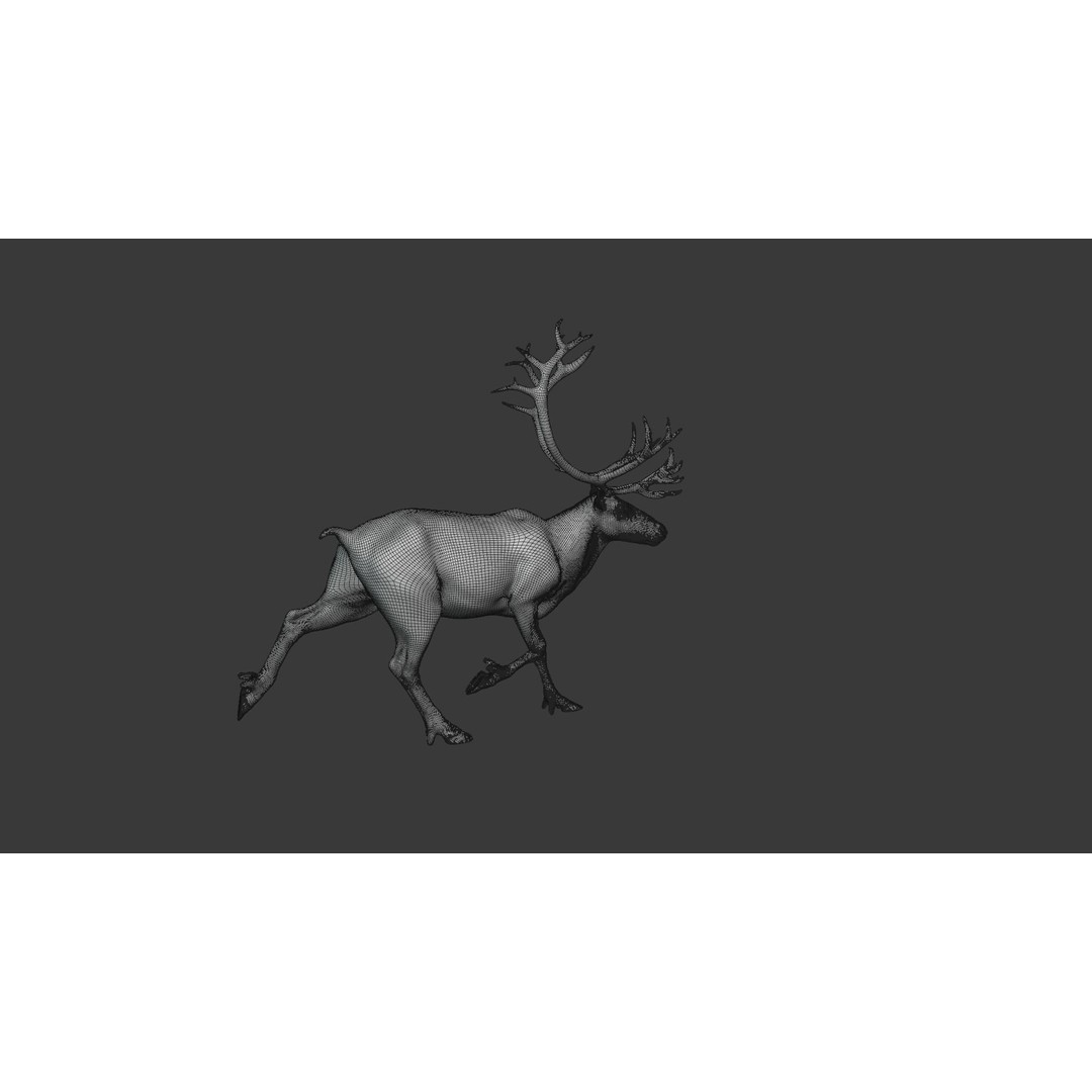Reindeer Male and Female 3D Model – Animated Rigged Characters, Blender