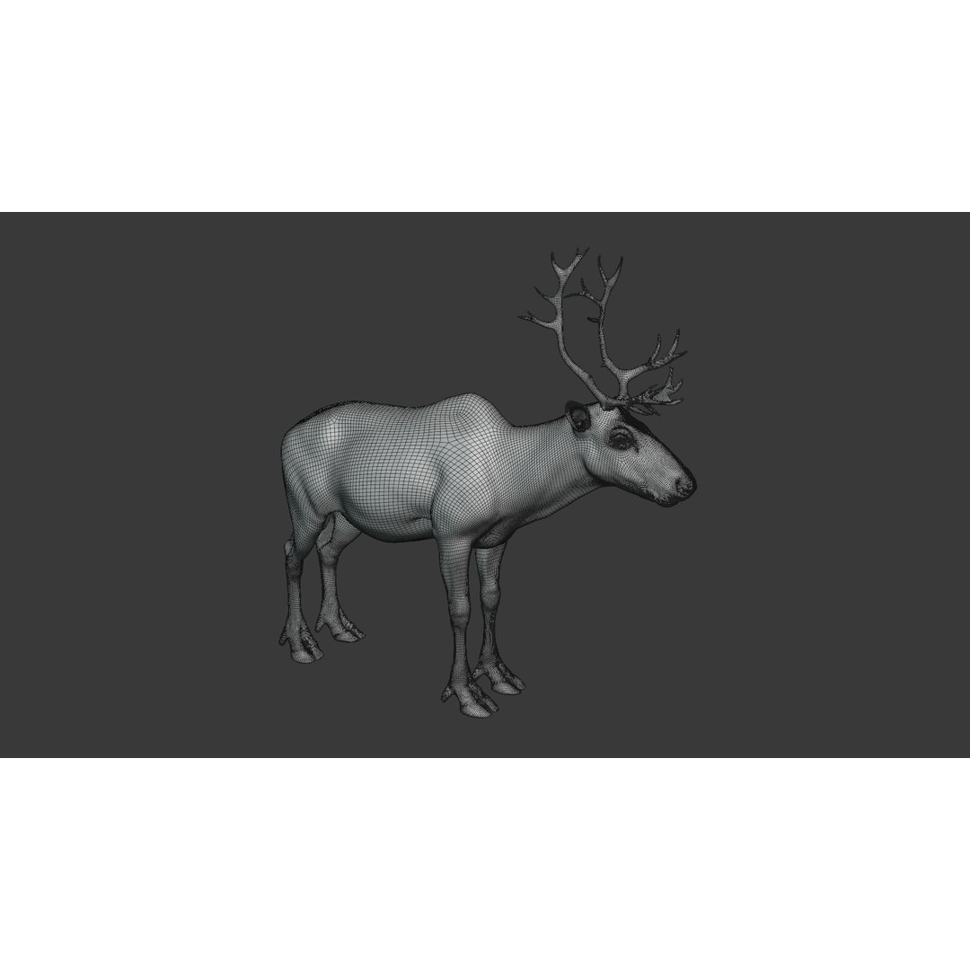 Reindeer Male and Female 3D Model – Animated Rigged Characters, Blender - View 10