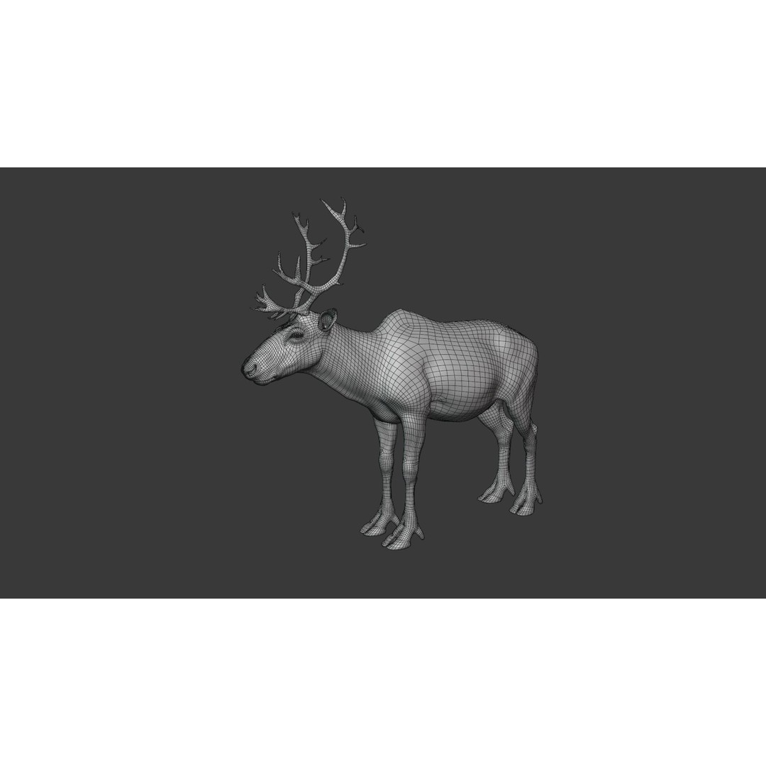 Reindeer Male and Female 3D Model – Animated Rigged Characters, Blender - View 11