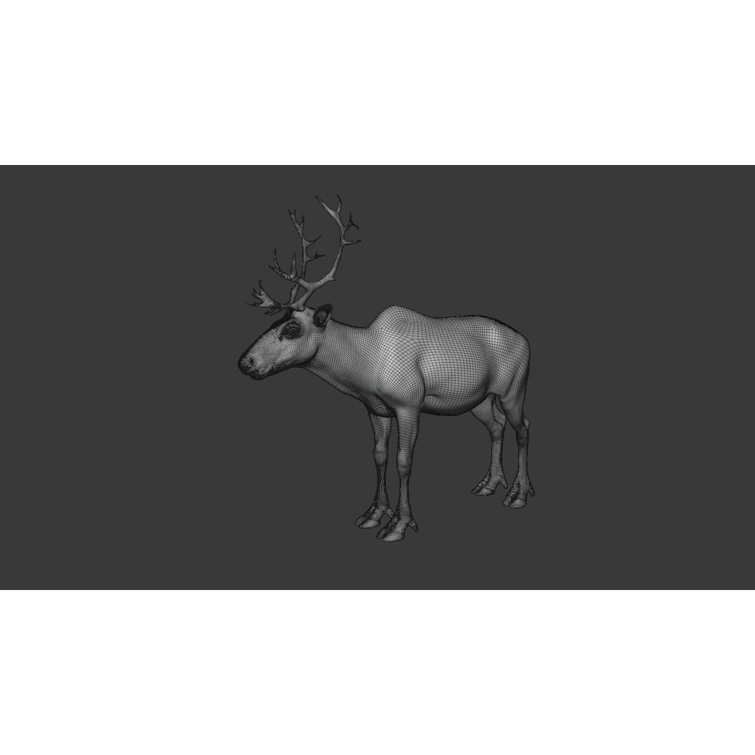 Reindeer Male and Female 3D Model – Animated Rigged Characters, Blender - View 12