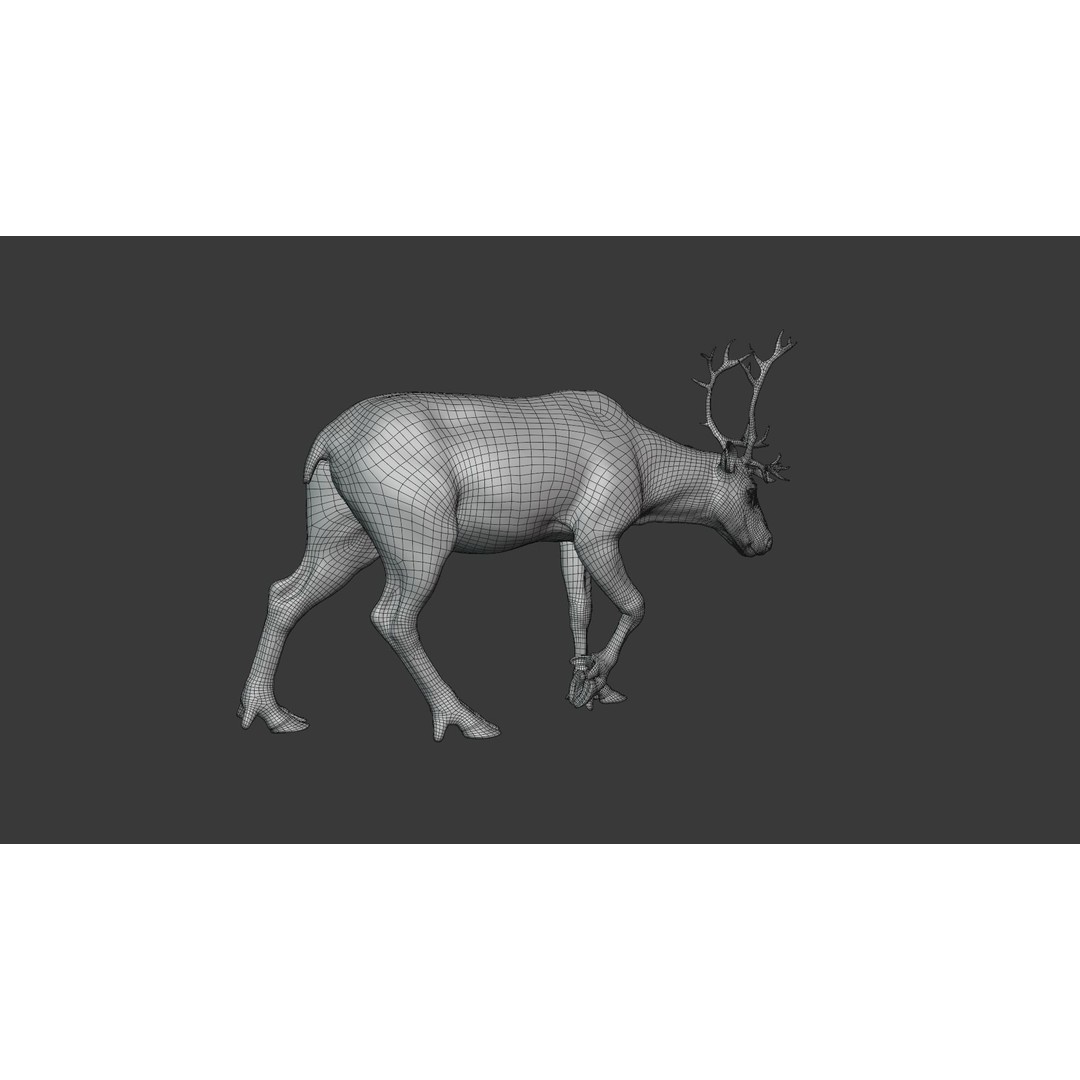 Reindeer Male and Female 3D Model – Animated Rigged Characters, Blender - View 13