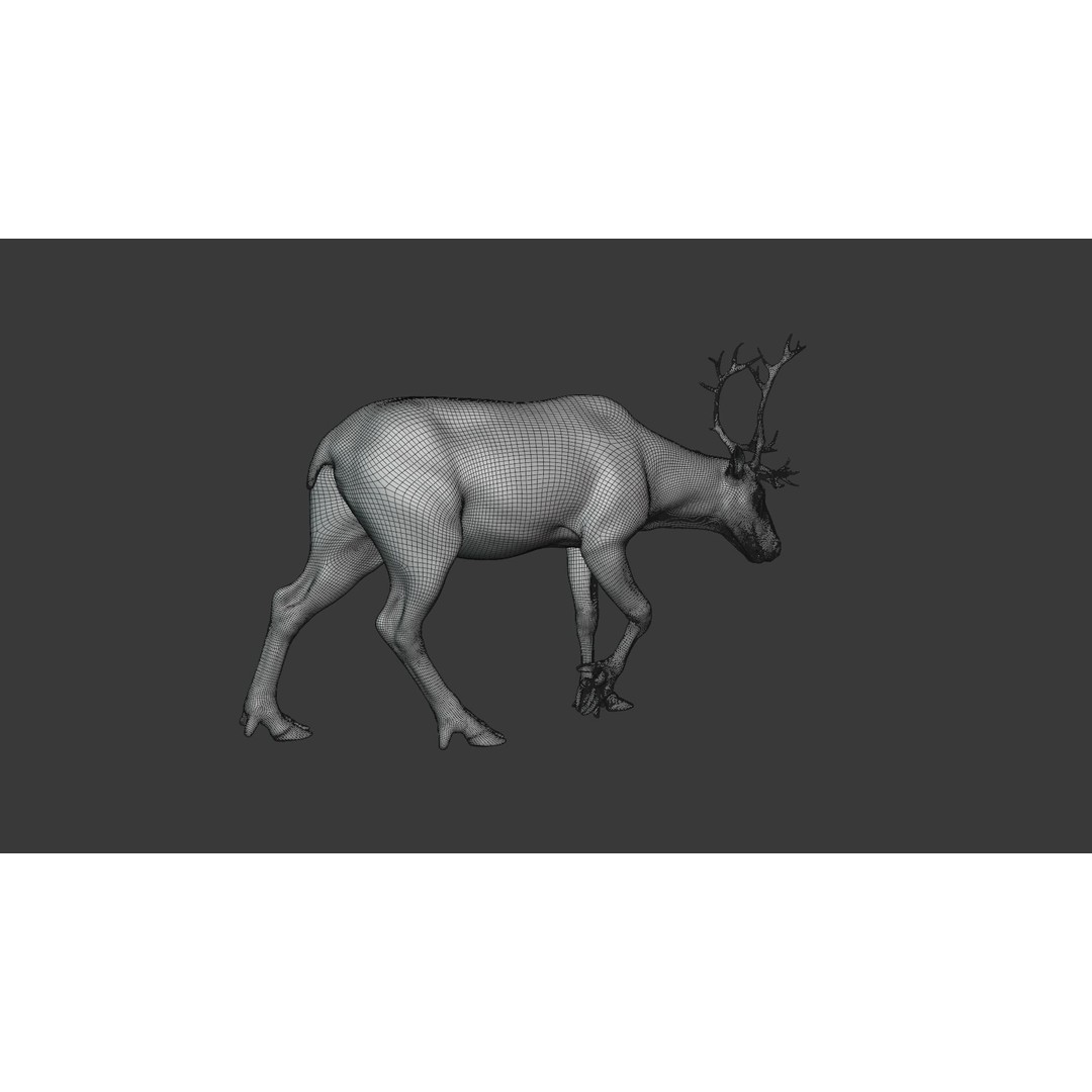 Reindeer Male and Female 3D Model – Animated Rigged Characters, Blender - View 14