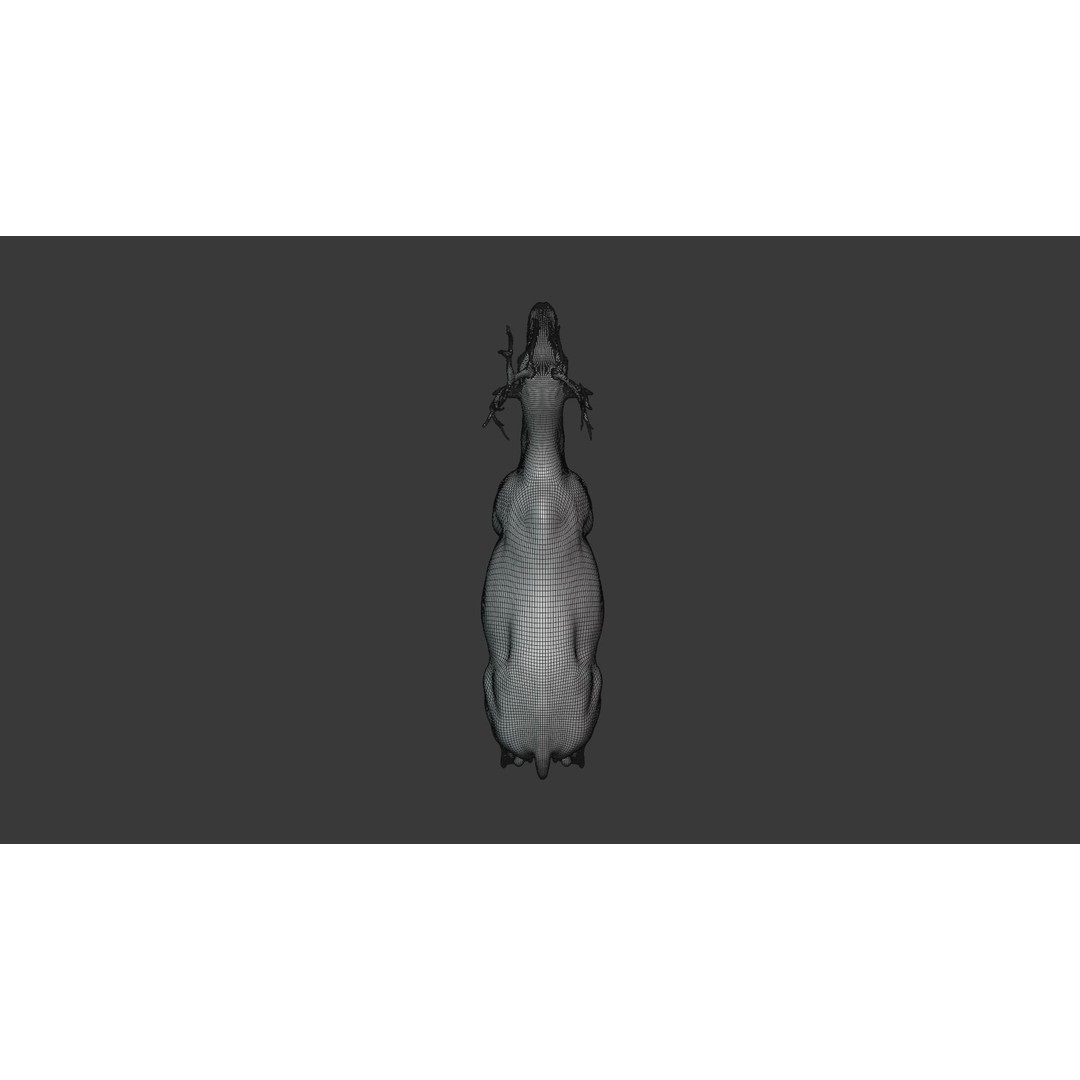 Reindeer Male and Female 3D Model – Animated Rigged Characters, Blender - View 16
