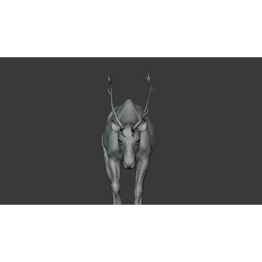 Reindeer Male and Female 3D Model – Animated Rigged Characters, Blender - View 17