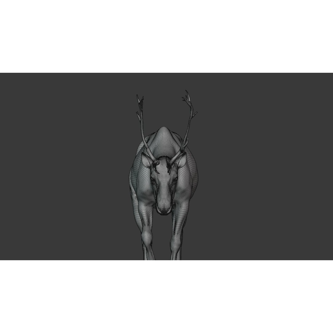 Reindeer Male and Female 3D Model – Animated Rigged Characters, Blender - View 18