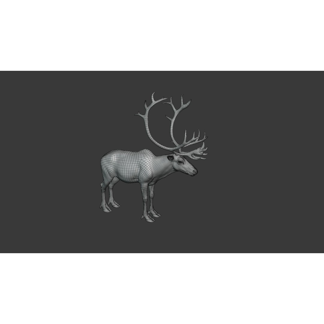 Reindeer Male and Female 3D Model – Animated Rigged Characters, Blender - View 24