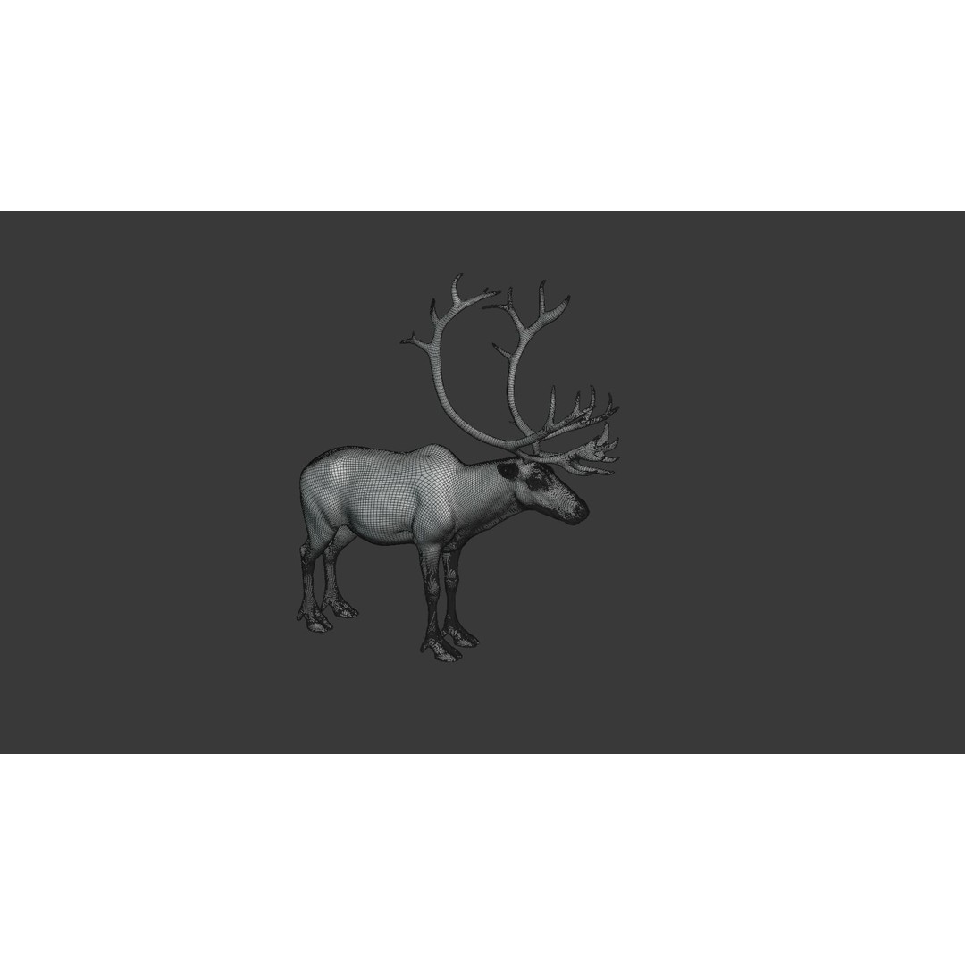Reindeer Male and Female 3D Model – Animated Rigged Characters, Blender - View 25