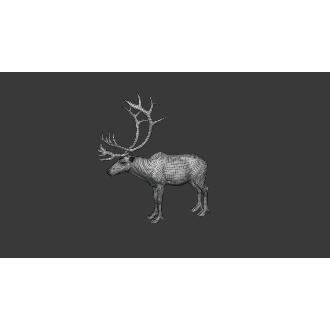 Reindeer Male and Female 3D Model – Animated Rigged Characters, Blender - View 26