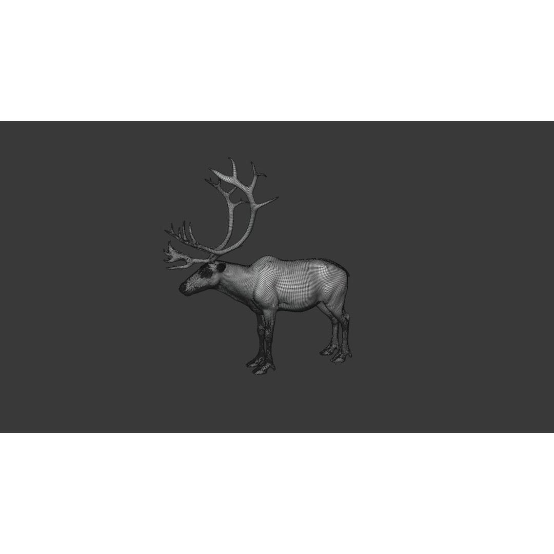 Reindeer Male and Female 3D Model – Animated Rigged Characters, Blender - View 27