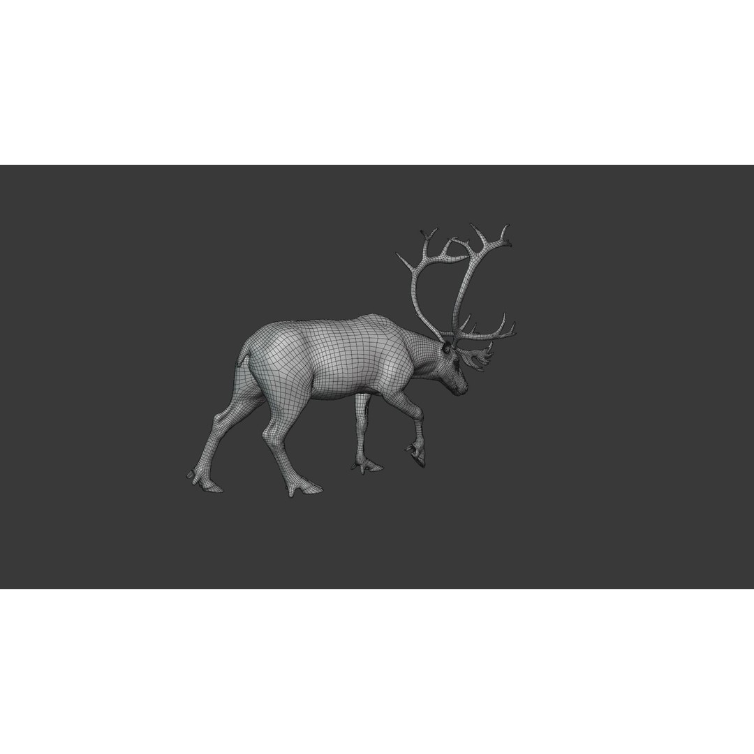 Reindeer Male and Female 3D Model – Animated Rigged Characters, Blender - View 28