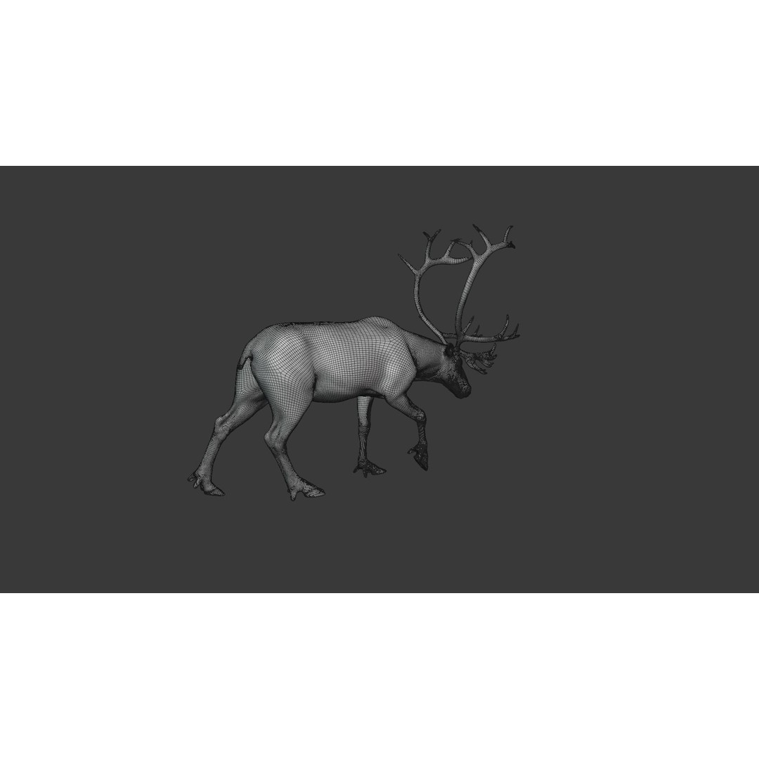 Reindeer Male and Female 3D Model – Animated Rigged Characters, Blender - View 29