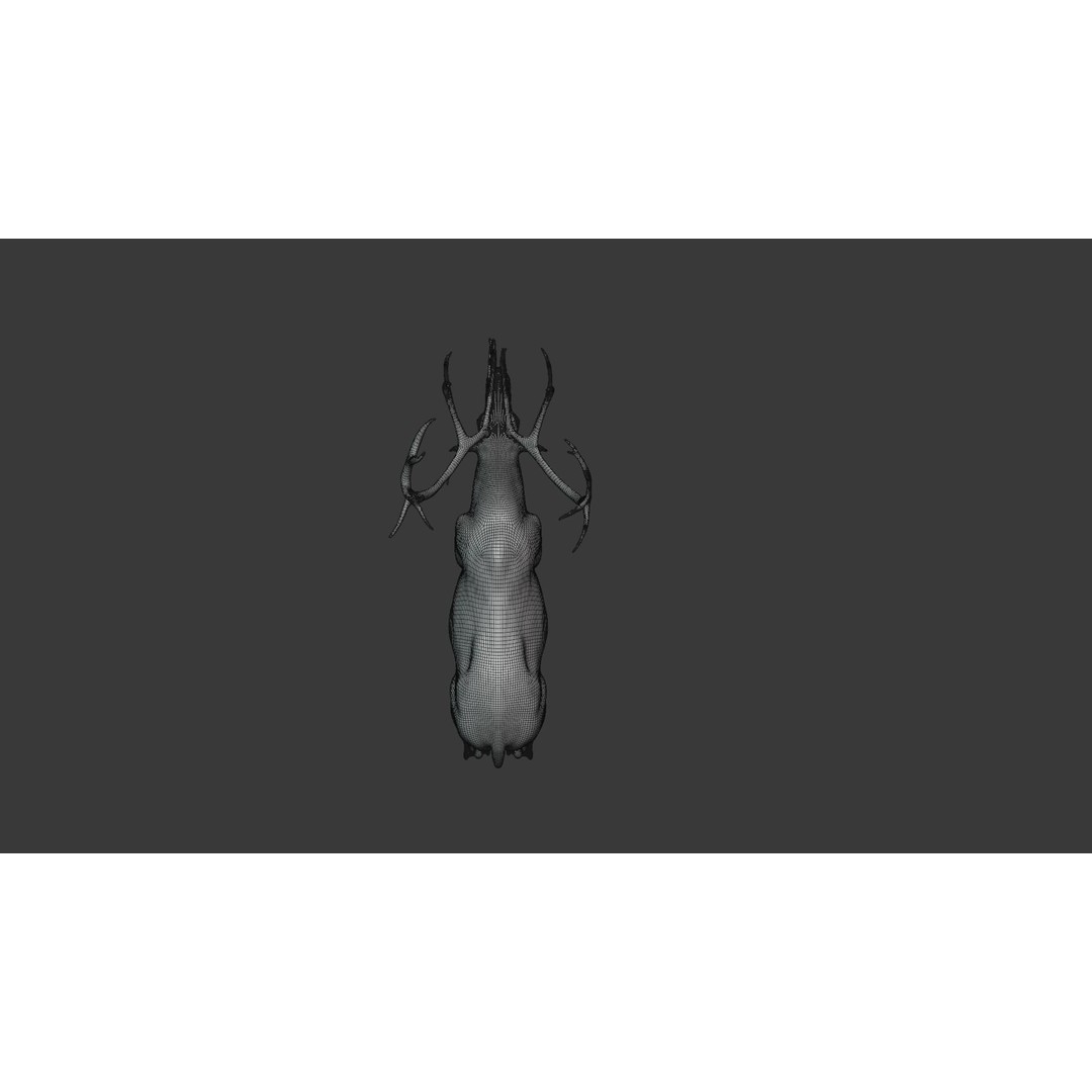 Reindeer Male and Female 3D Model – Animated Rigged Characters, Blender - View 31