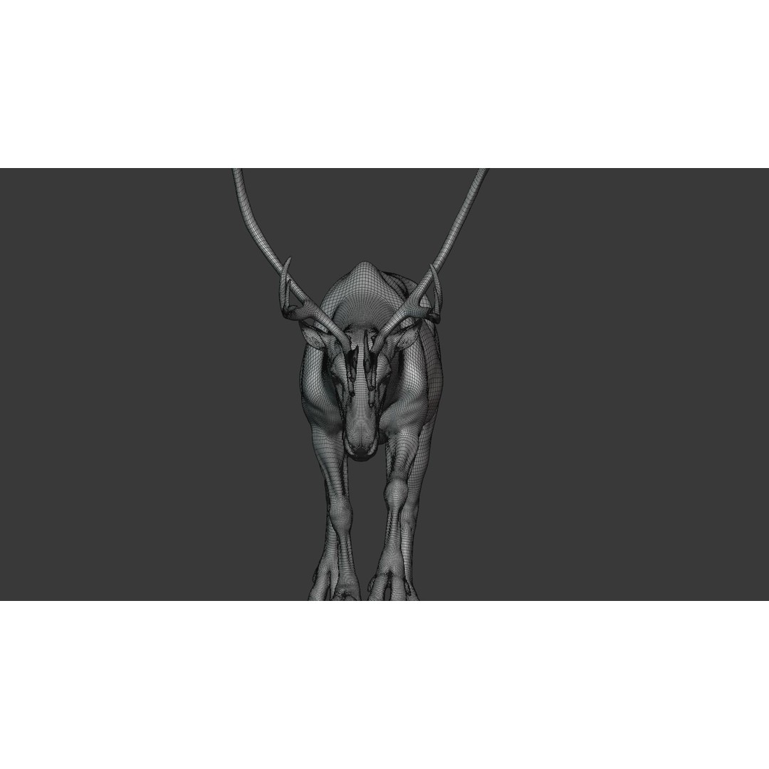 Reindeer Male and Female 3D Model – Animated Rigged Characters, Blender - View 33