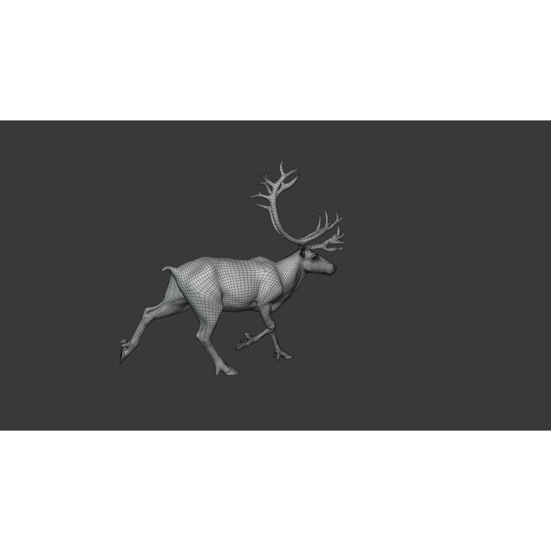 Reindeer Male and Female 3D Model – Animated Rigged Characters, Blender - View 34