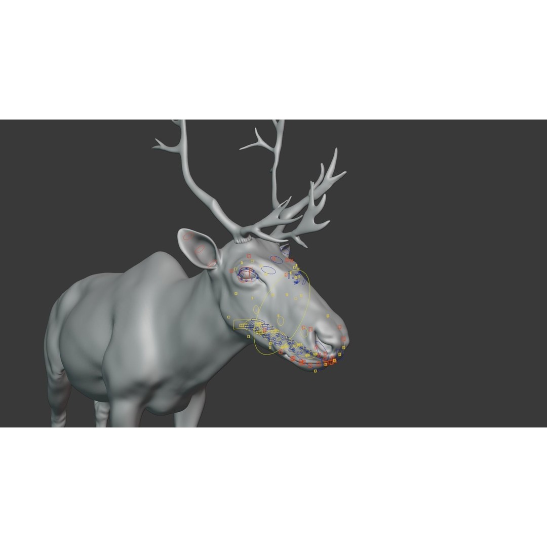 Reindeer Male and Female 3D Model – Animated Rigged Characters, Blender - View 8