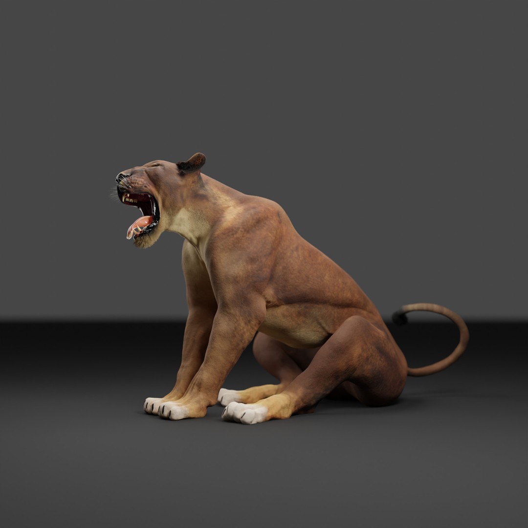 Lioness 3D Model – Rigged PBR Character for Animation, FBX