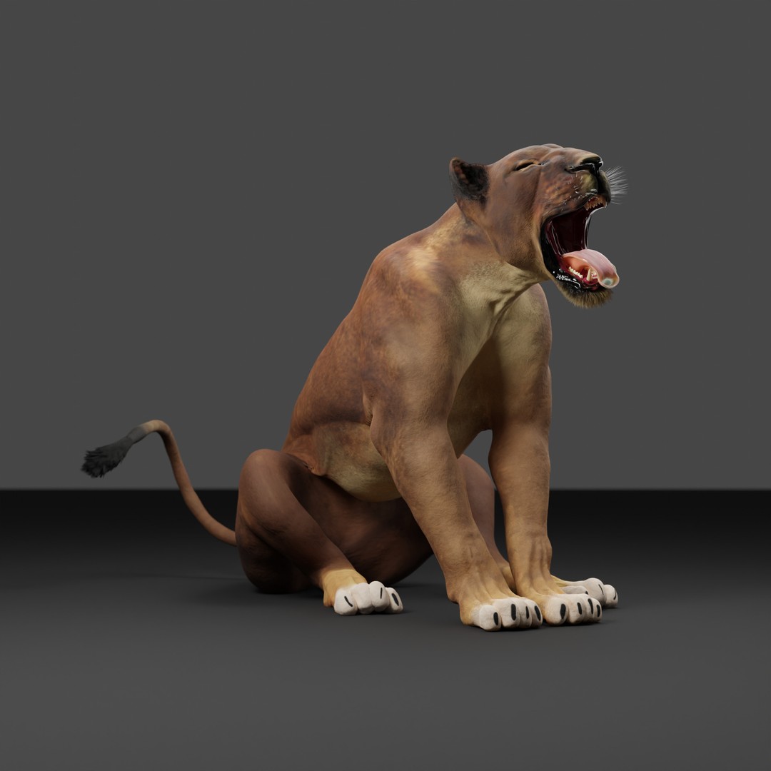 Lioness 3D Model – Rigged PBR Character for Animation, FBX - View 21
