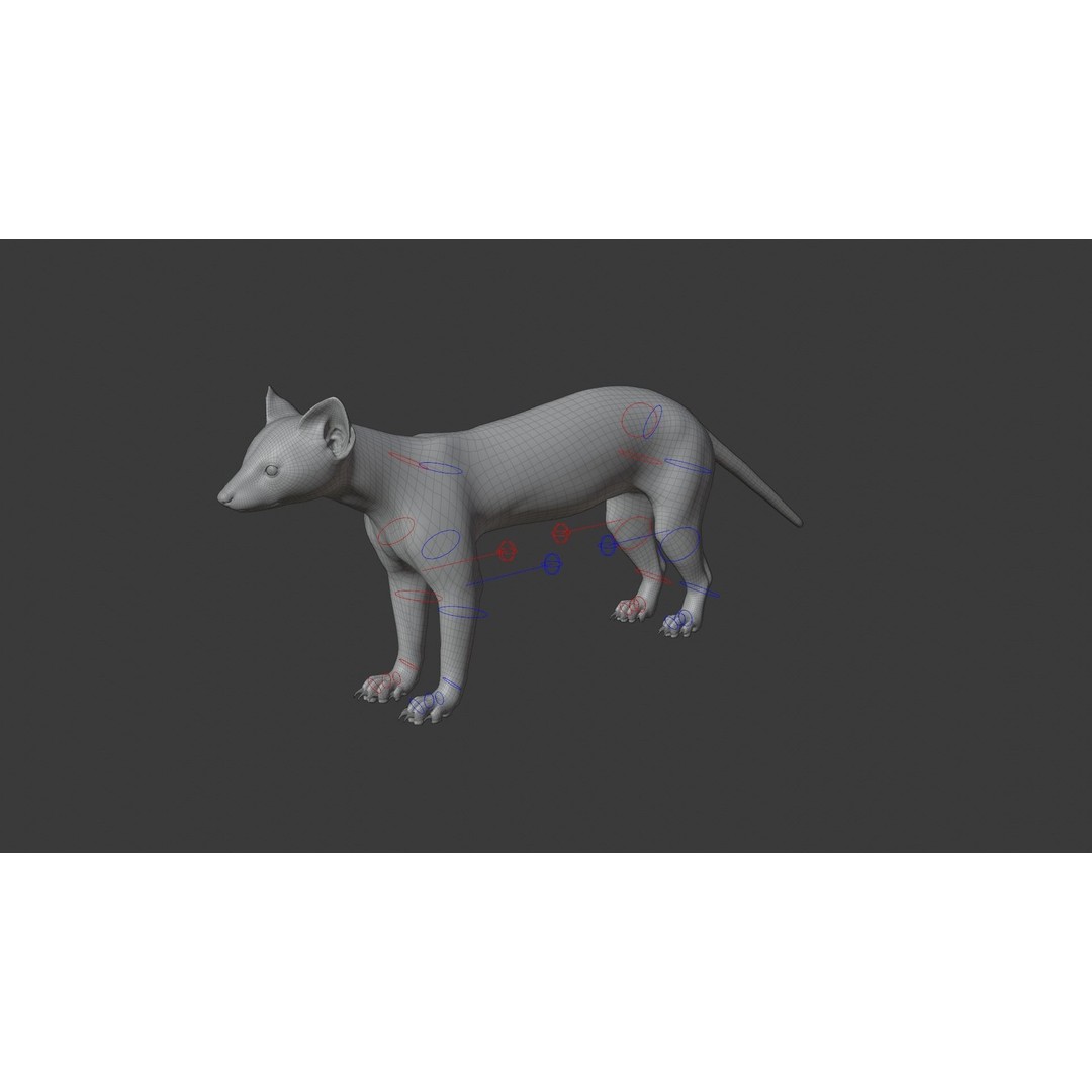 American Marten 3D Model – Animated Rigged Character with Textures - View 18