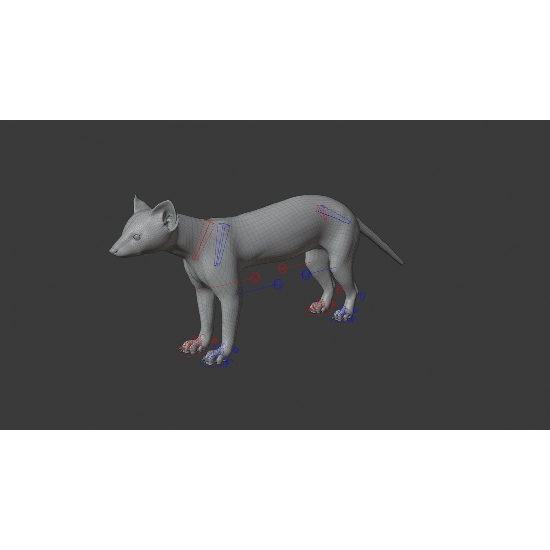 American Marten 3D Model – Animated Rigged Character with Textures - View 19
