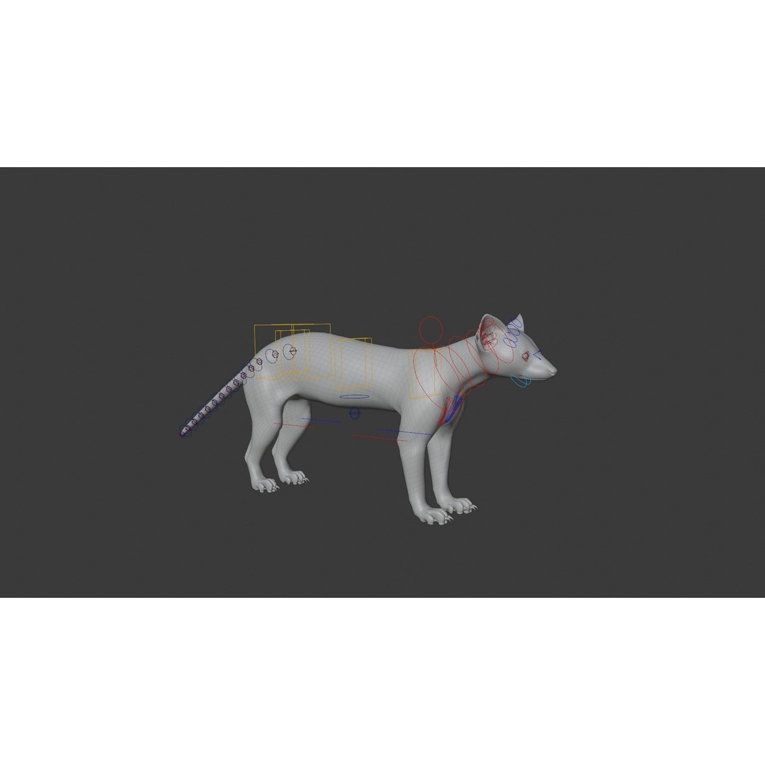 American Marten 3D Model – Animated Rigged Character with Textures - View 21