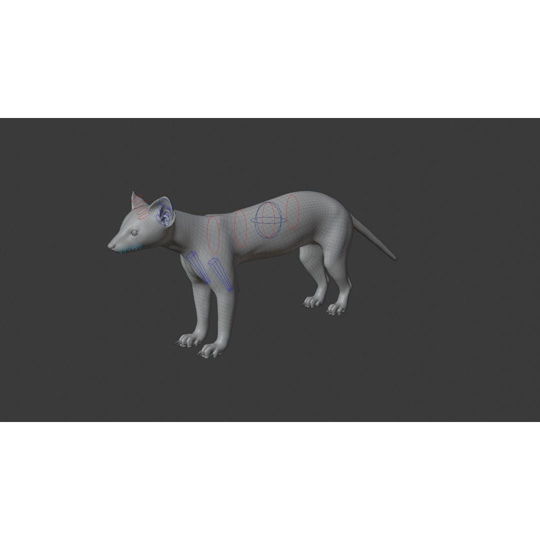 American Marten 3D Model – Animated Rigged Character with Textures - View 23