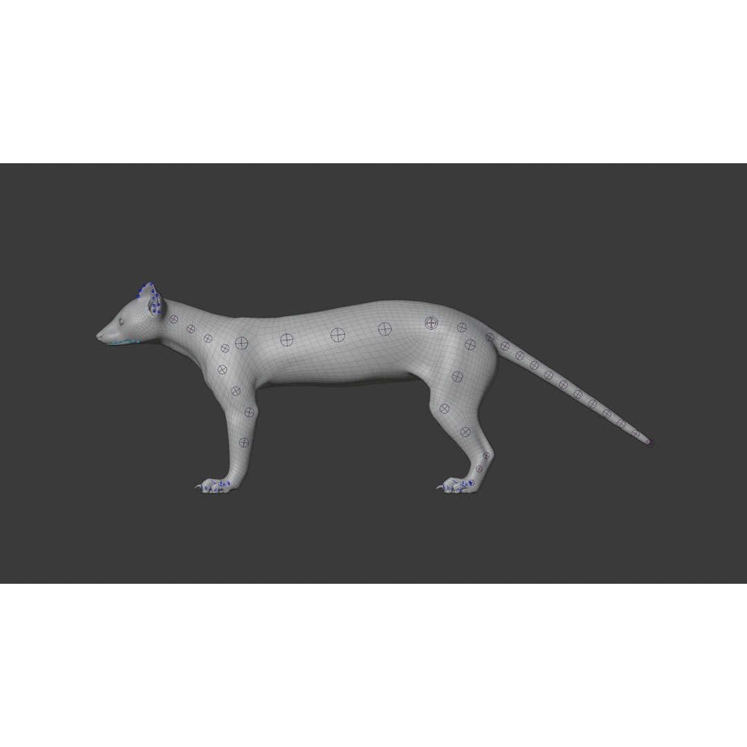 American Marten 3D Model – Animated Rigged Character with Textures - View 24