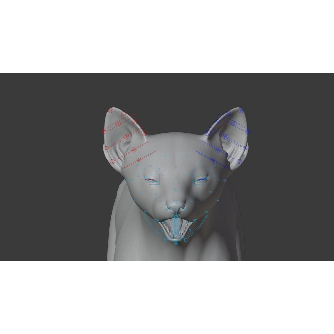 American Marten 3D Model – Animated Rigged Character with Textures - View 26