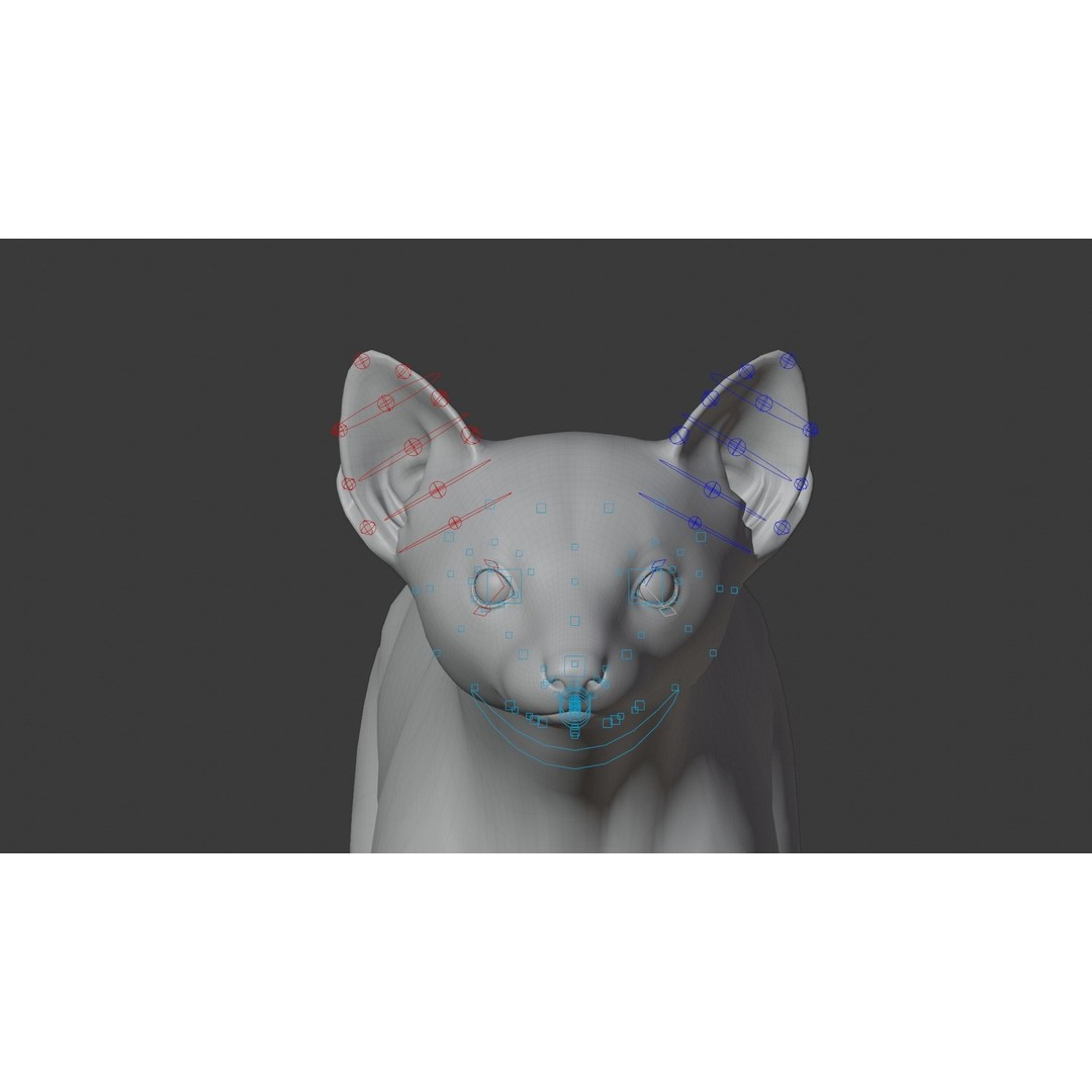American Marten 3D Model – Animated Rigged Character with Textures - View 27
