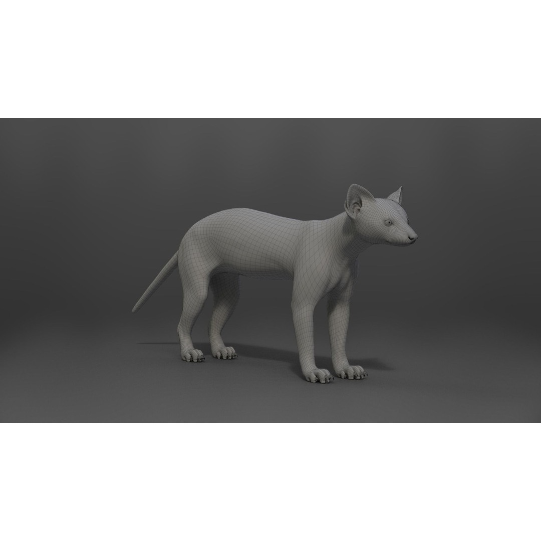 American Marten 3D Model – Animated Rigged Character with Textures - View 28