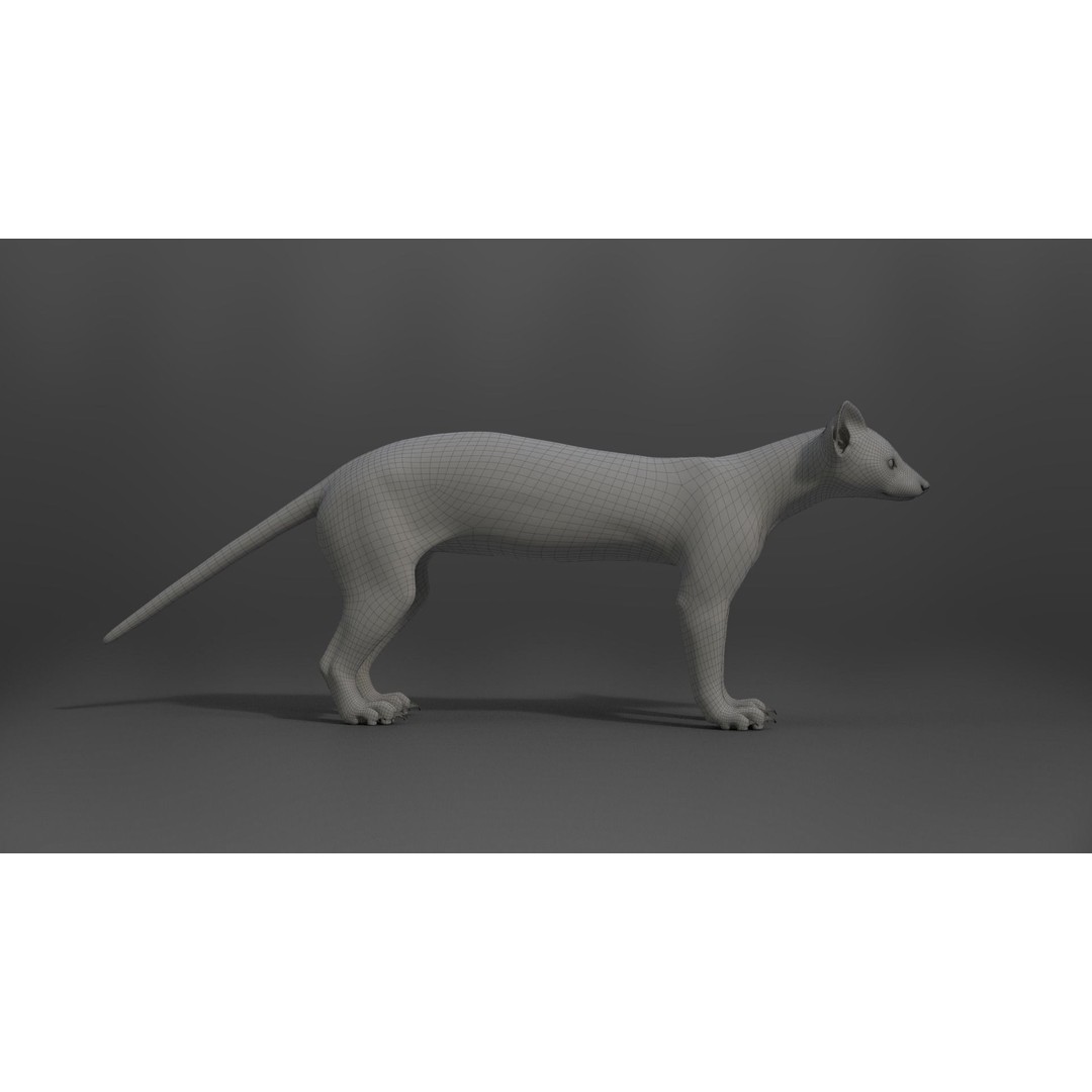 American Marten 3D Model – Animated Rigged Character with Textures - View 29