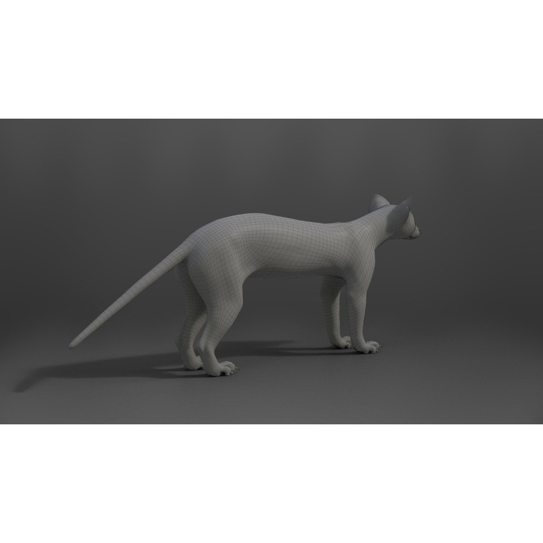 American Marten 3D Model – Animated Rigged Character with Textures - View 30
