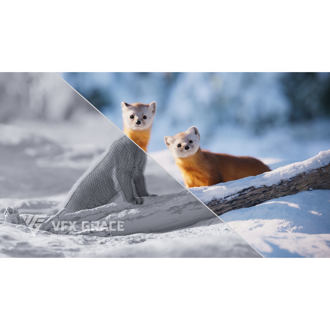 American Marten 3D Model – Animated Rigged Character with Textures - View 4