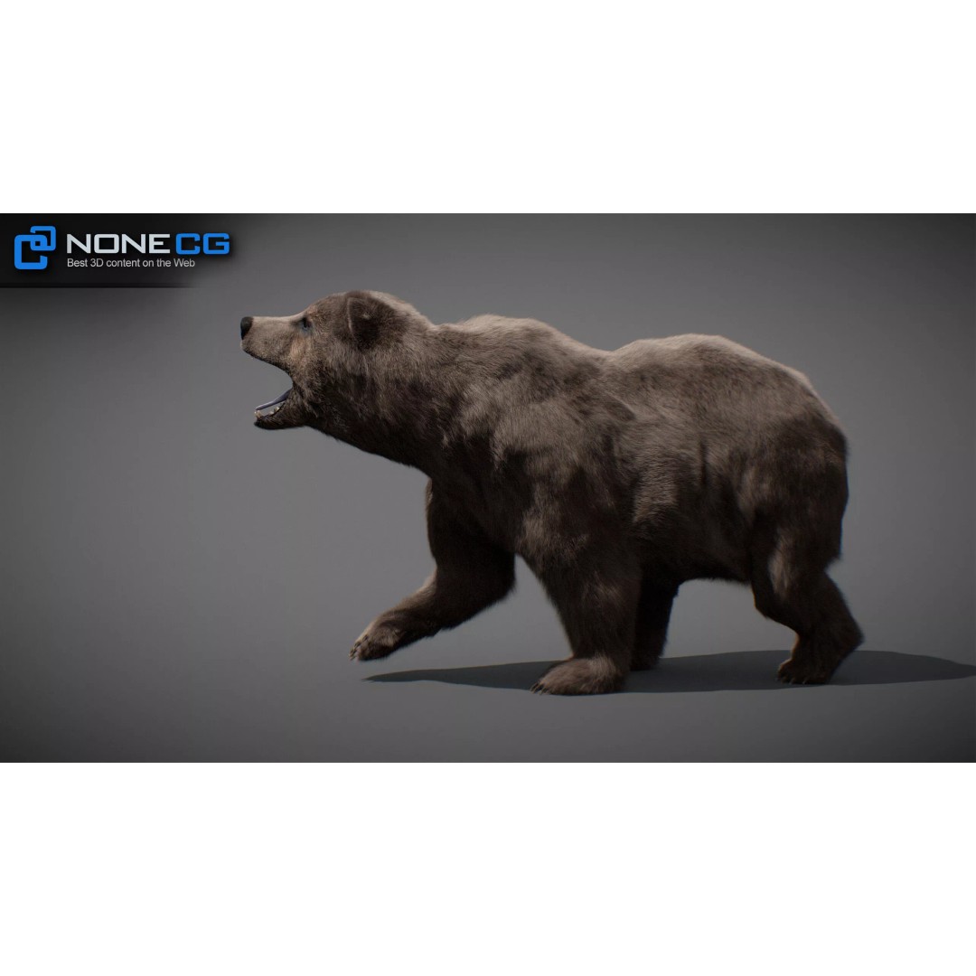 Animated Bear 3D Model – Rigged Game-Ready Asset, FBX, OBJ - View 10