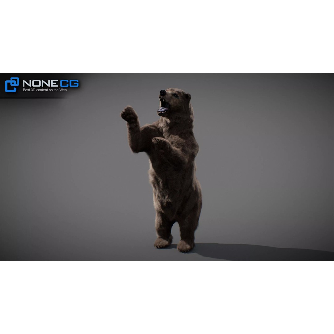 Animated Bear 3D Model – Rigged Game-Ready Asset, FBX, OBJ - View 12