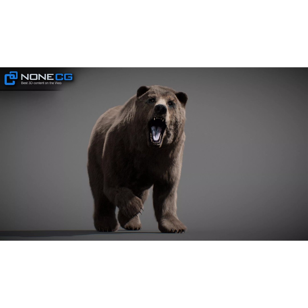 Animated Bear 3D Model – Rigged Game-Ready Asset, FBX, OBJ - View 14
