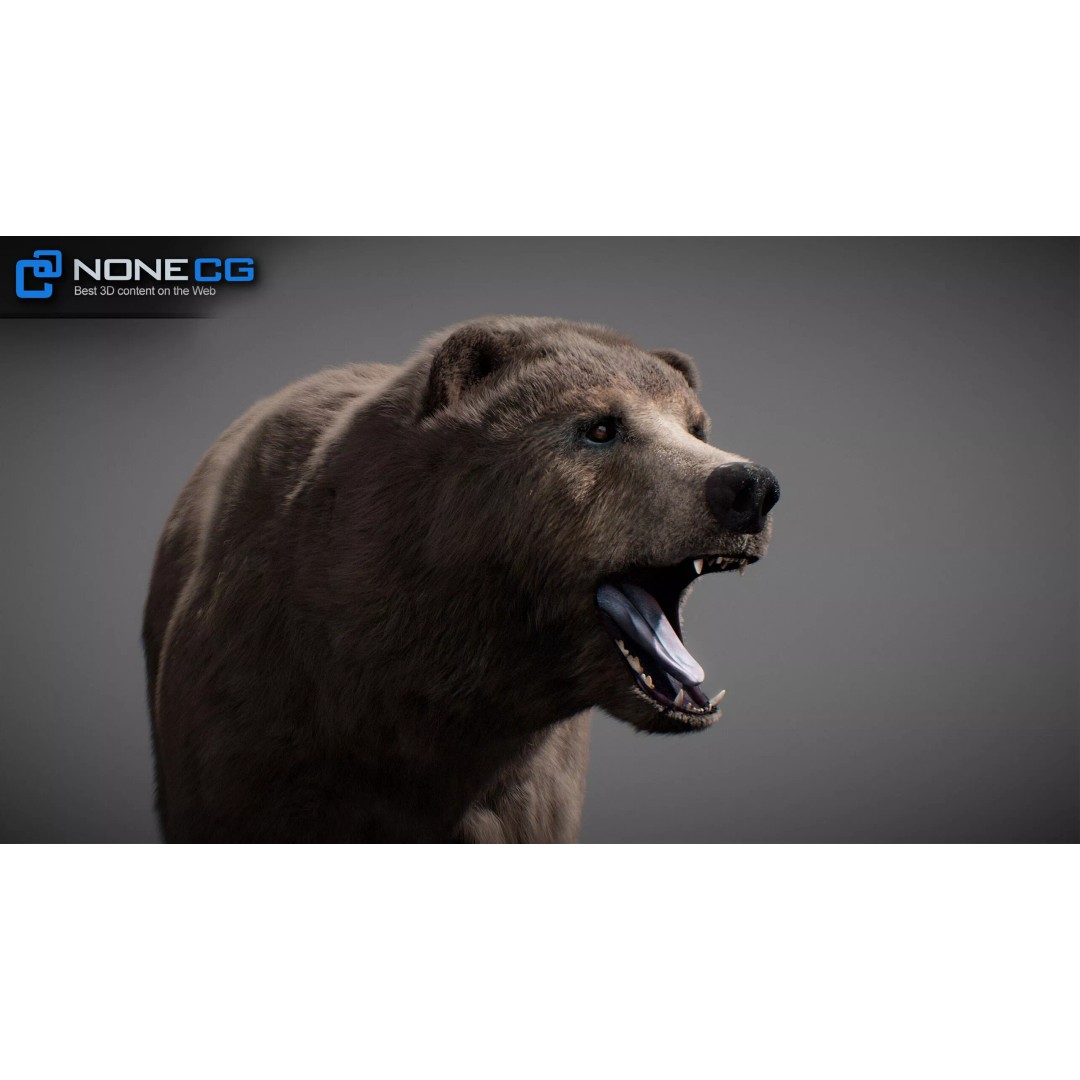 Animated Bear 3D Model – Rigged Game-Ready Asset, FBX, OBJ - View 15