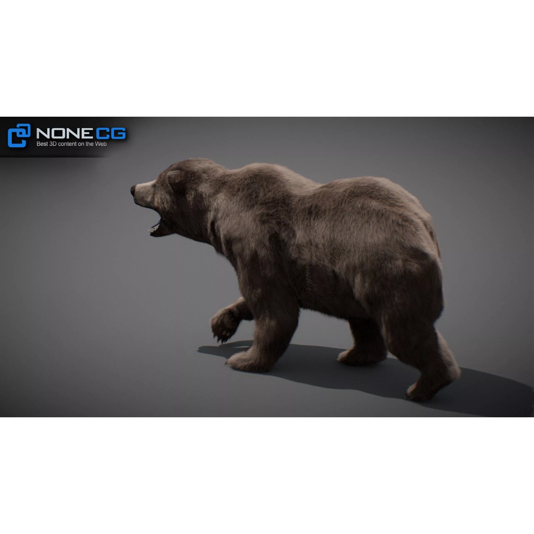 Animated Bear 3D Model – Rigged Game-Ready Asset, FBX, OBJ - View 16
