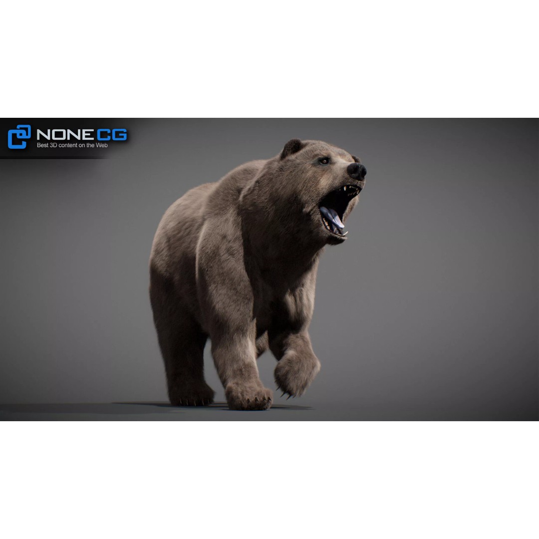 Animated Bear 3D Model – Rigged Game-Ready Asset, FBX, OBJ - View 17