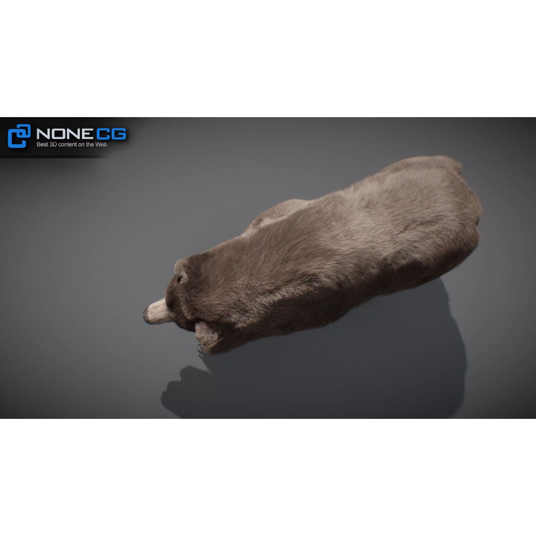 Animated Bear 3D Model – Rigged Game-Ready Asset, FBX, OBJ - View 19